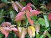 P1010057