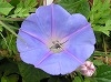 P1010061