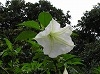 P1010036