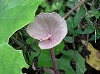 P1010042