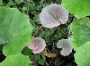 P1010043
