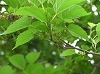 P1010044