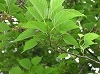 P1010045