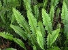 P1010048