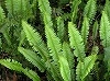 P1010049