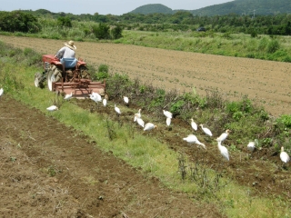 P5210082 みんなで仲良く分け合おう