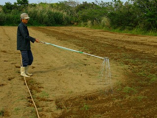 ガジュツ紫ウコン予定地にグリーンタイキを水で薄めて散布