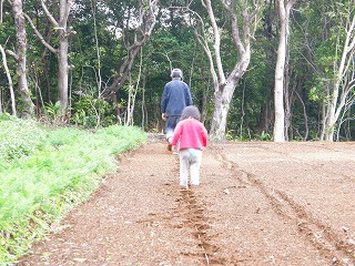 ウコン溝切り印しつけ 父と長女