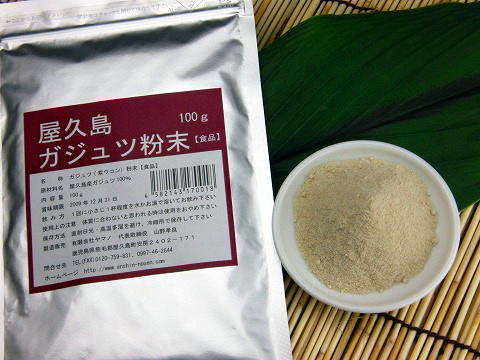屋久島ガジュツ(紫ウコン)粉末100%