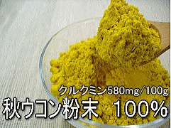 �H�E�R������100��