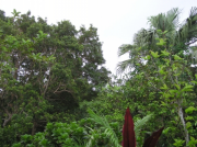 PA010046 PA010046