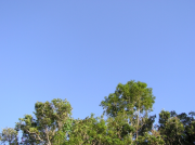 PA060075
