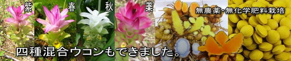 �l�퍬���悭�΂�E�R��